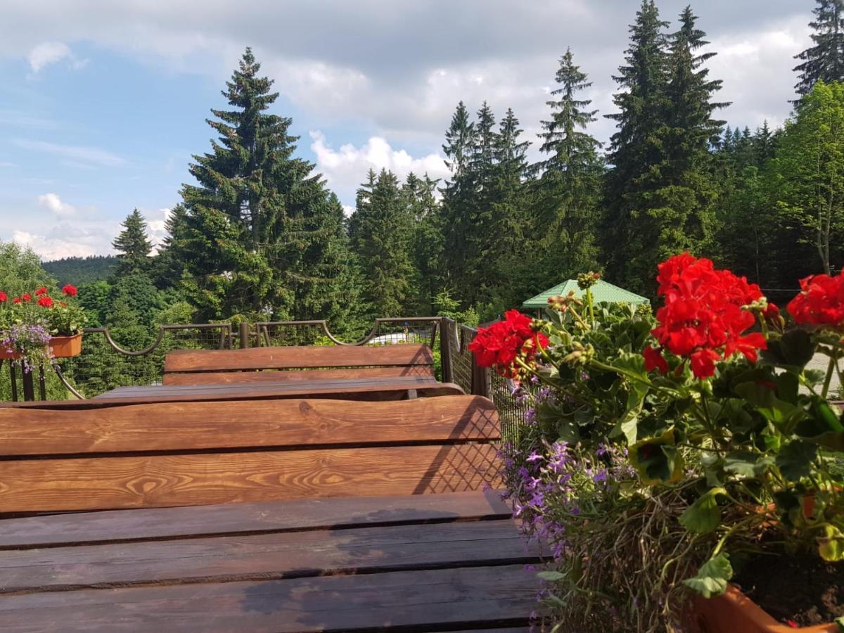 Bialy Potok Bed and Breakfast Zieleniec  Eksteriør billede