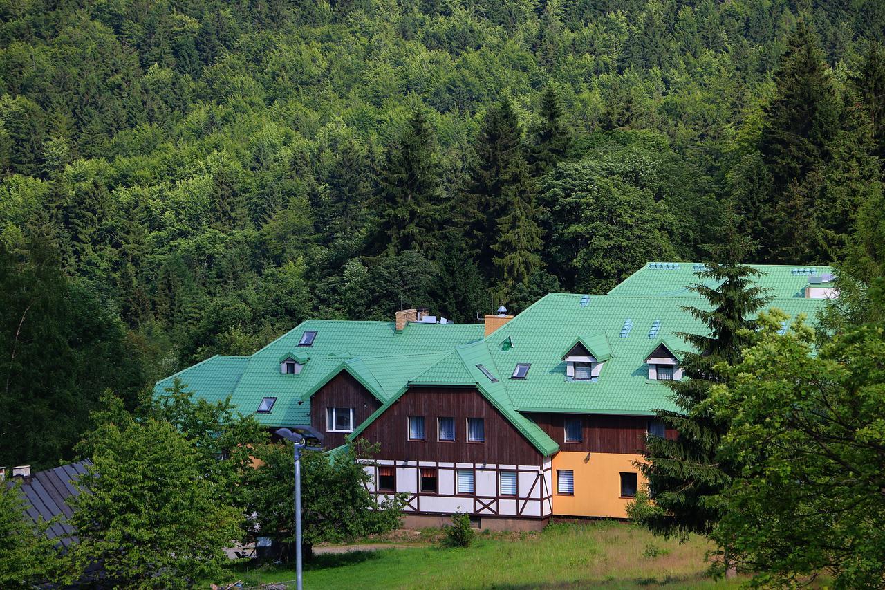 Bialy Potok Bed and Breakfast Zieleniec  Eksteriør billede
